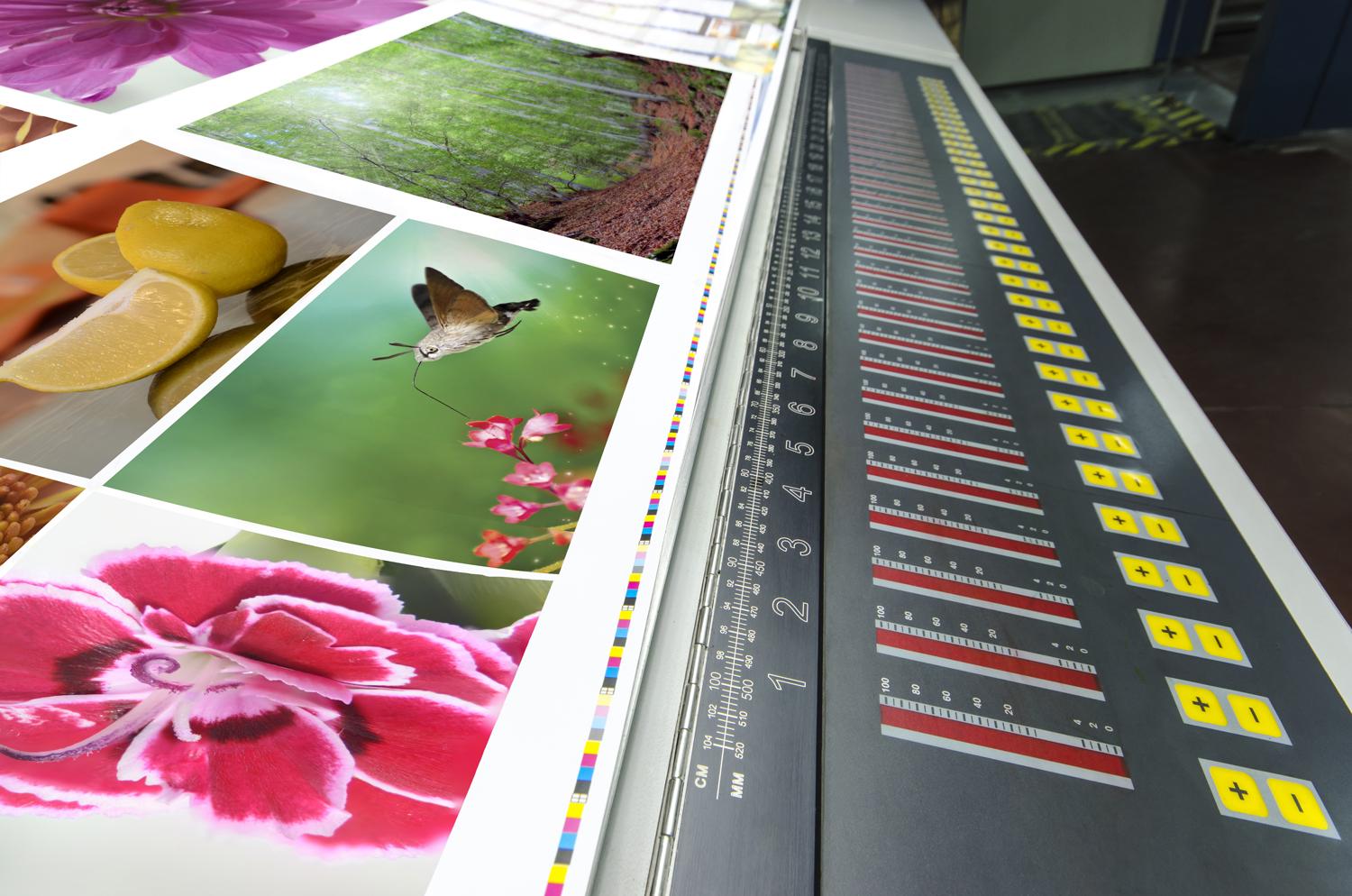 Offset Printing Thomastown